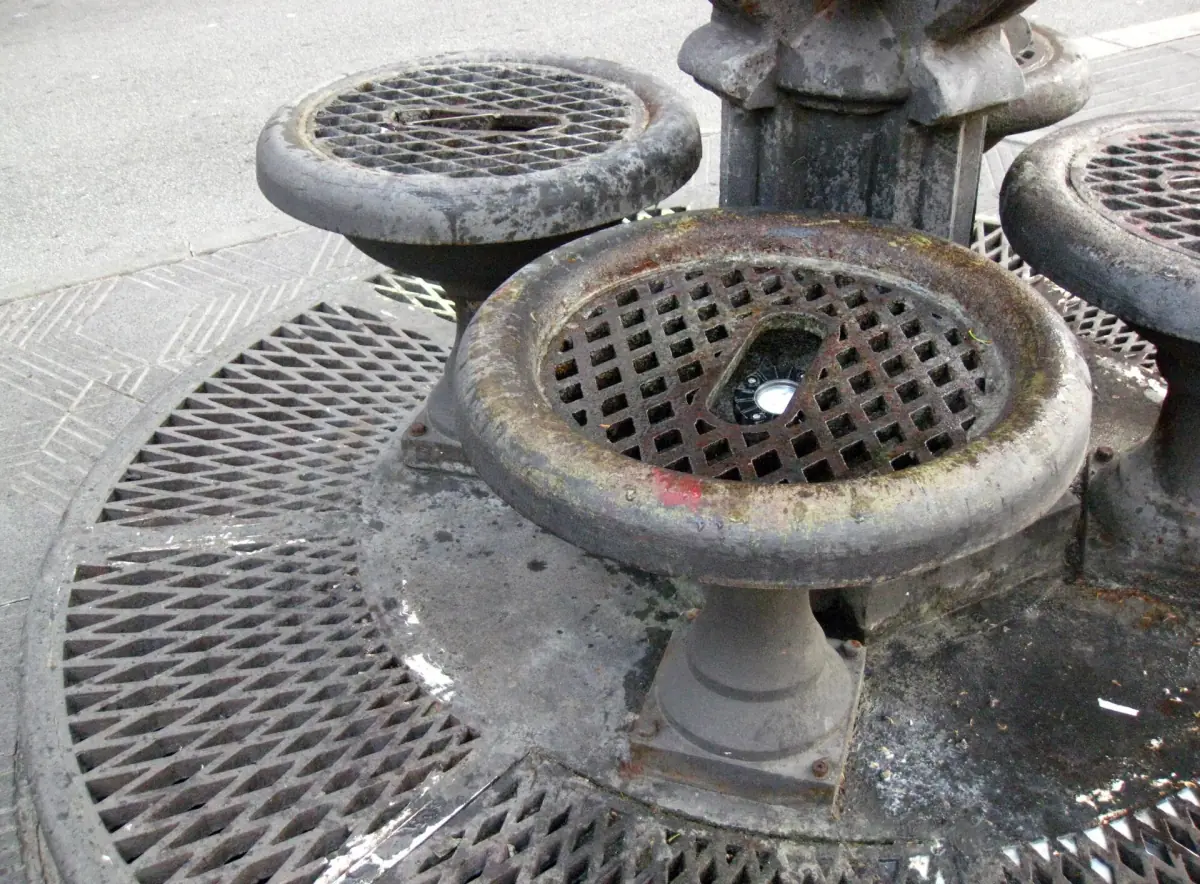 The Font de Canaletes